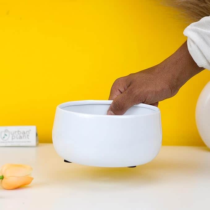 Wide Delight Pot