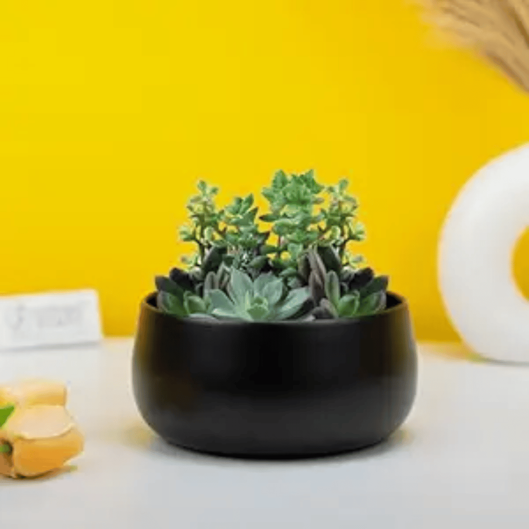 Home decor collection