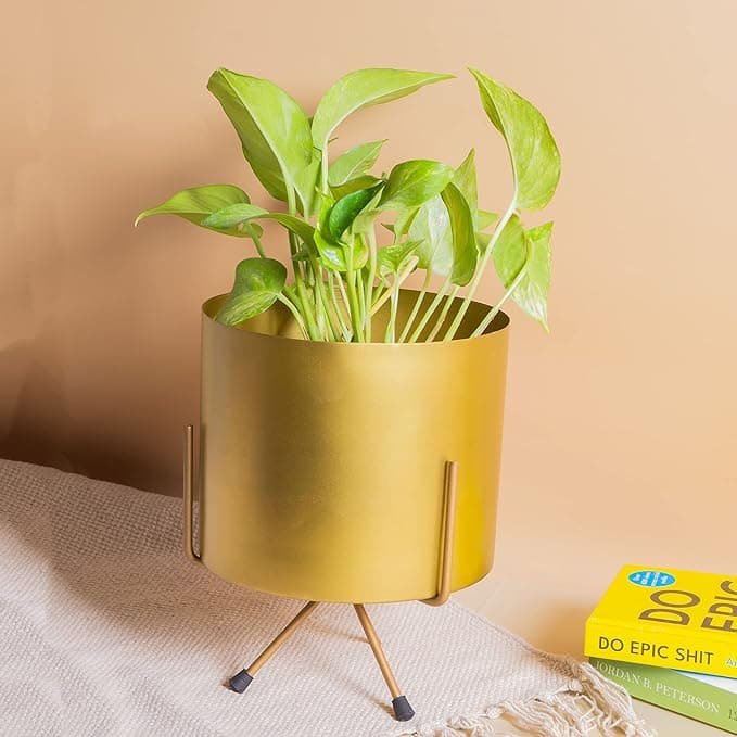 Modern Loft Planter (copy)