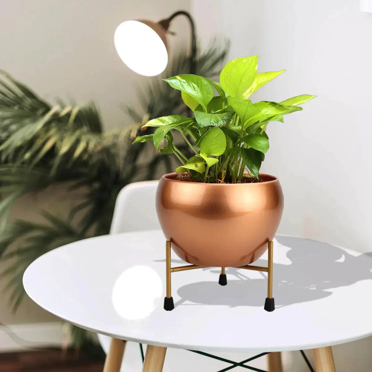 Blossom Delight Pot