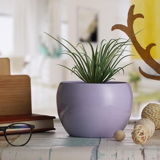 Curved Charm Planter