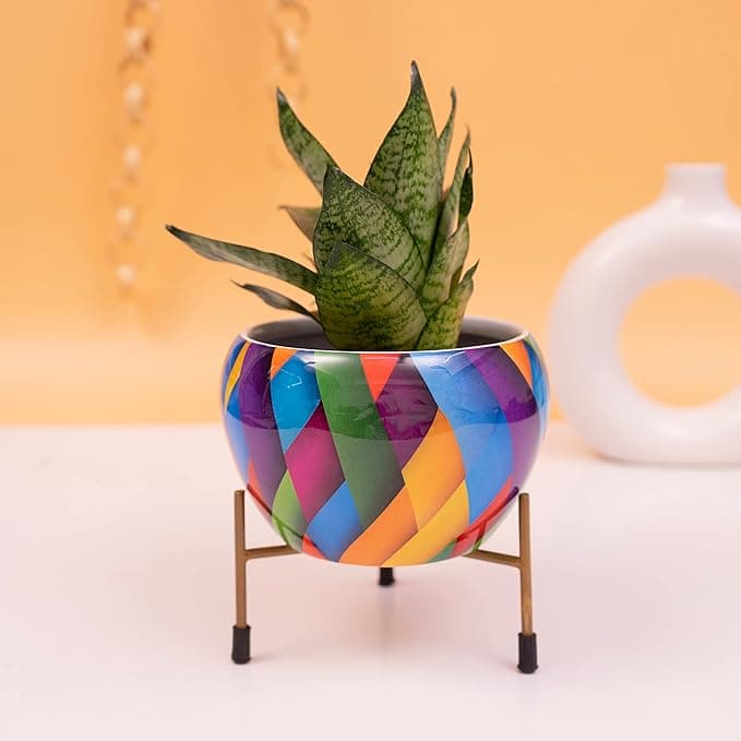 Blossom Delight Pot