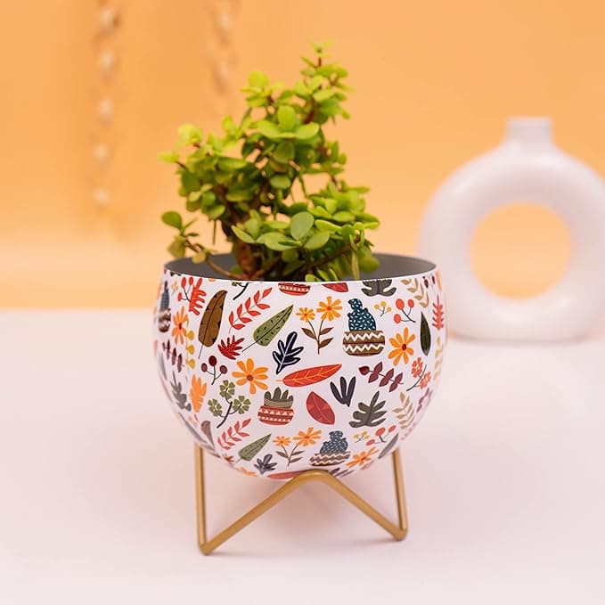 Blooming Beauty Planter