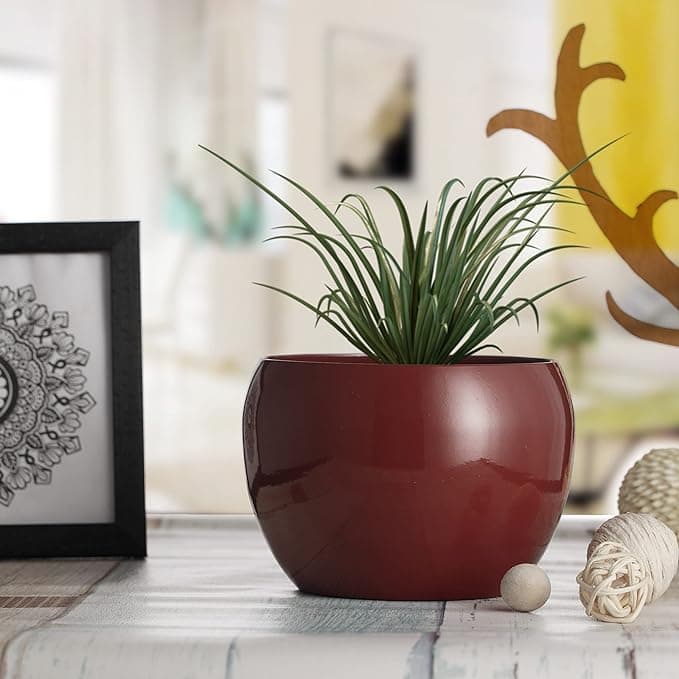 Curved Charm Planter