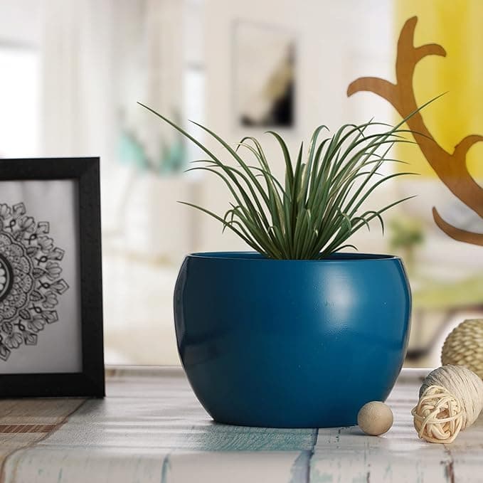 Curved Charm Planter