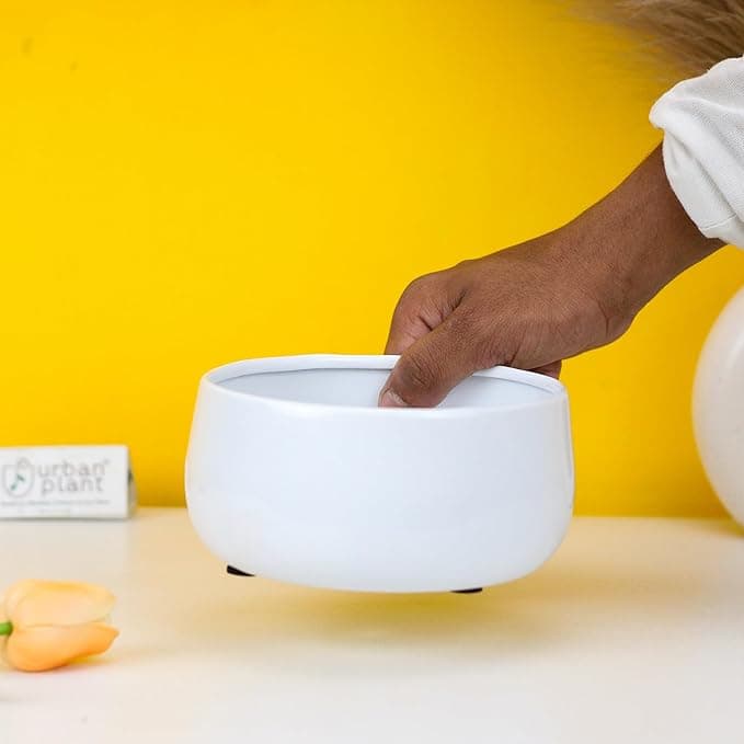 Wide Delight Pot