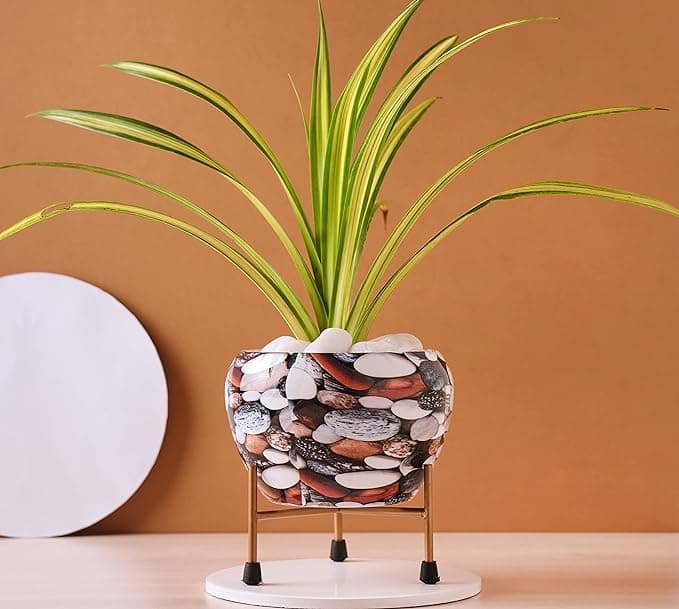 Blossom Delight Pot
