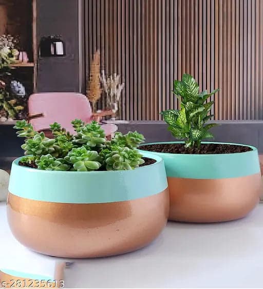 Wide Delight Pot