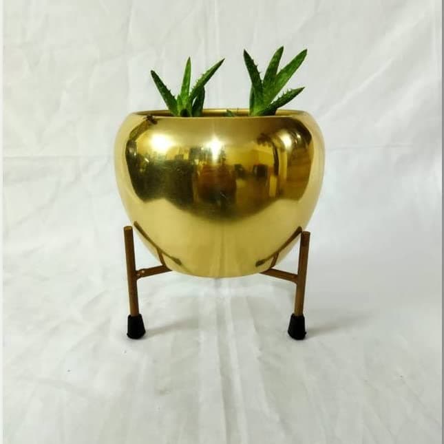 Blossom Delight Pot