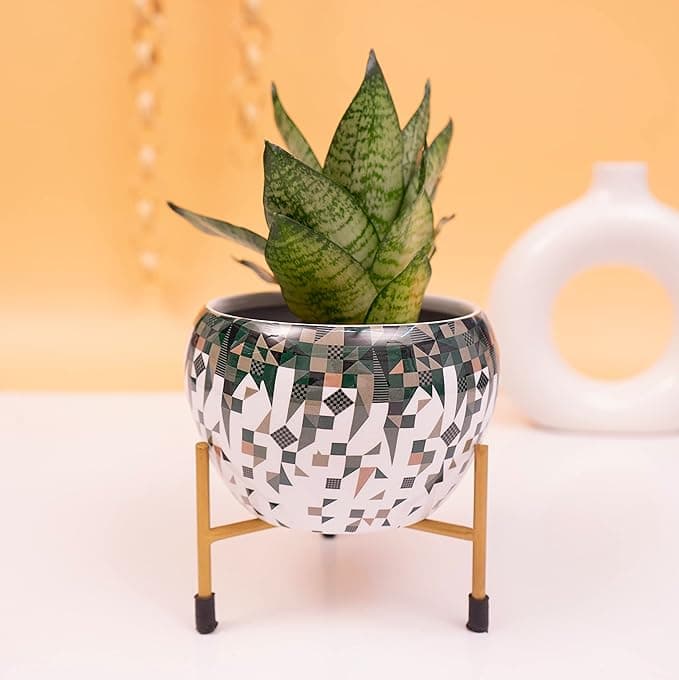 Blossom Delight Pot