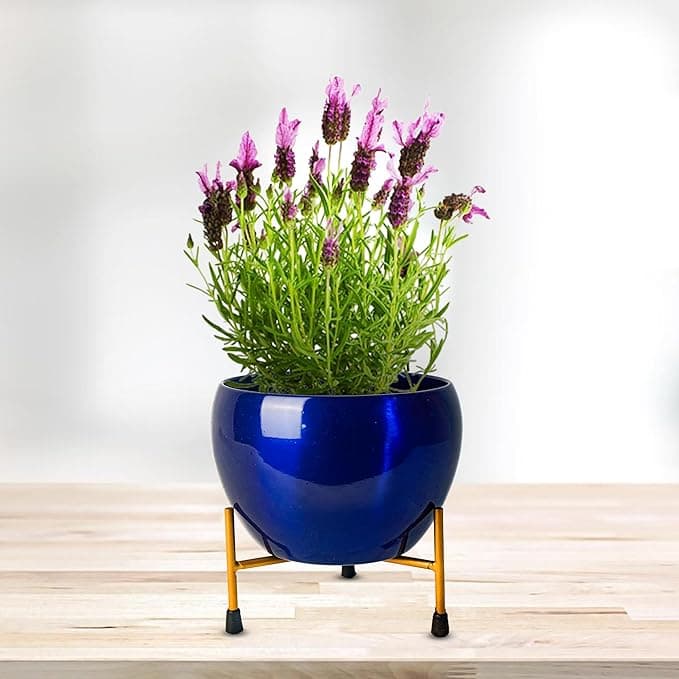 Blossom Delight Pot - Image 5