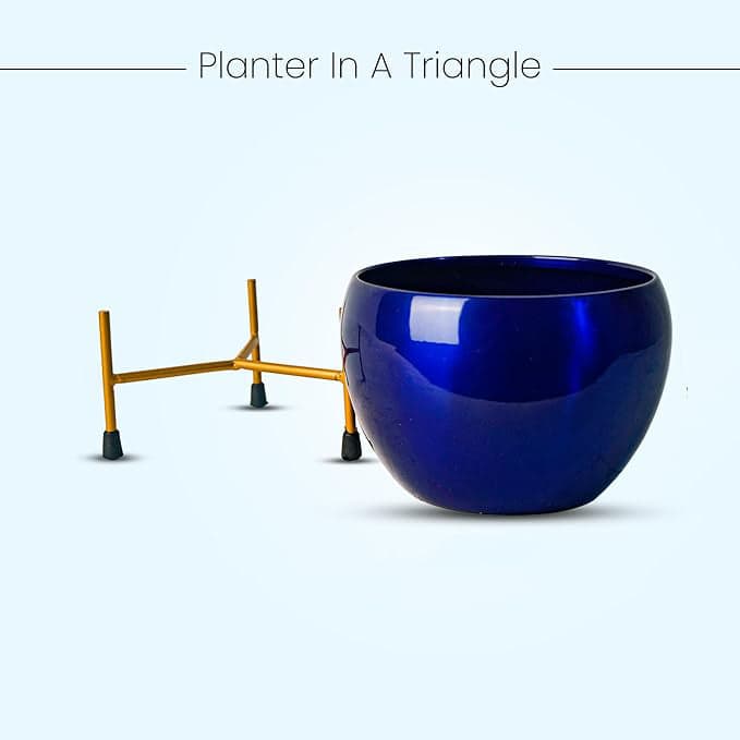 Blossom Delight Pot - Image 7