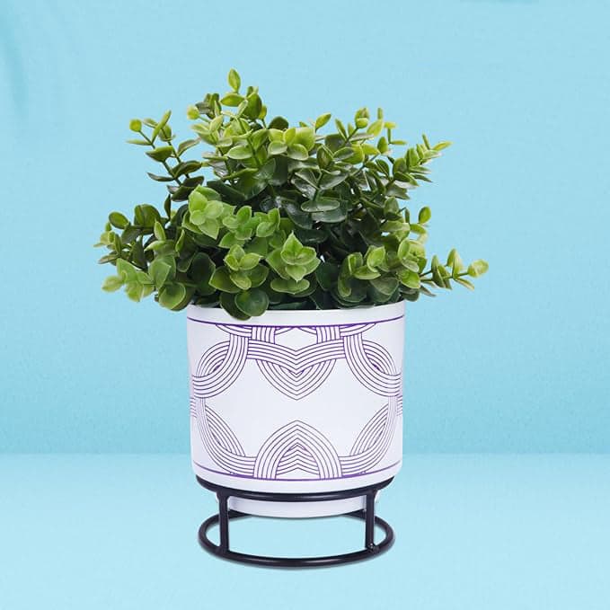 Blooming Beauty Planter - Image 10