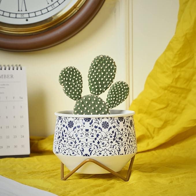 Hex Delight Planter