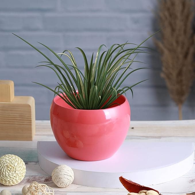 Curved Charm Planter