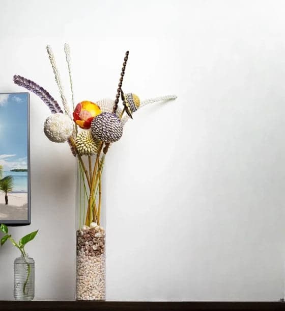 Trocus Shell Table Decor 2