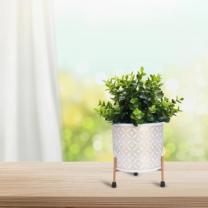 Blooming Beauty Planter