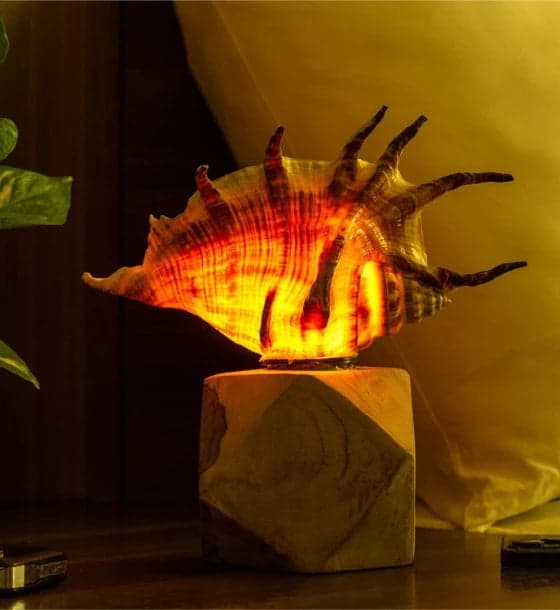 Five Finger Lamp (small)