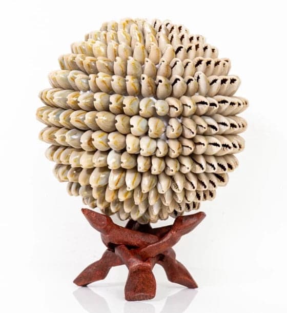 Shell Ball Sadha Cowdy