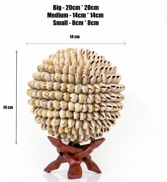 Shell Ball Sadha Cowdy - Image 3