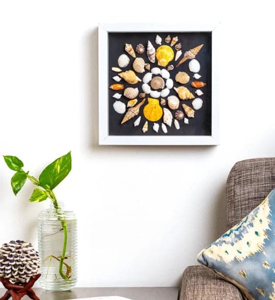 Wall Decor Box Mix Shell