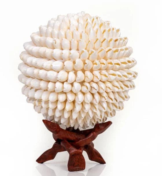 Shell Ball White Cowdy