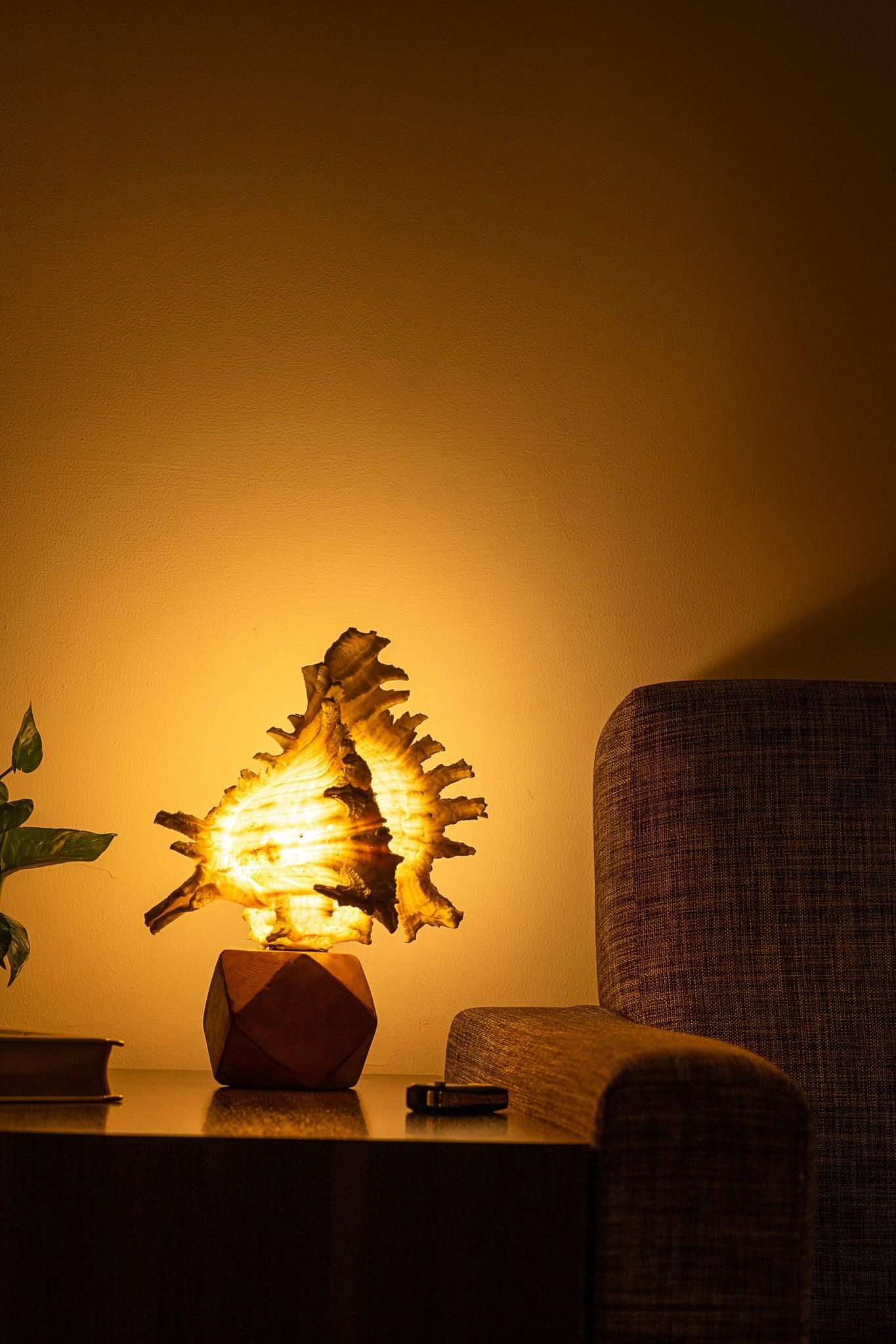Elephant Mulli Lamp (small)