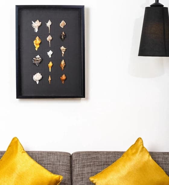 Mix Shell Big Wall Decor