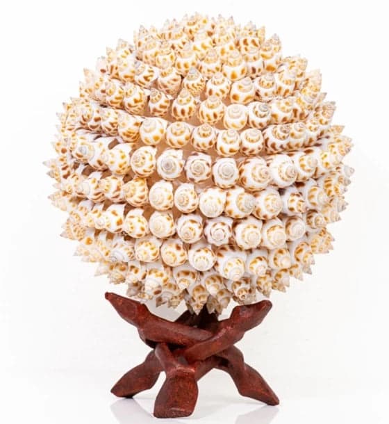 Shell Ball Puramuttai