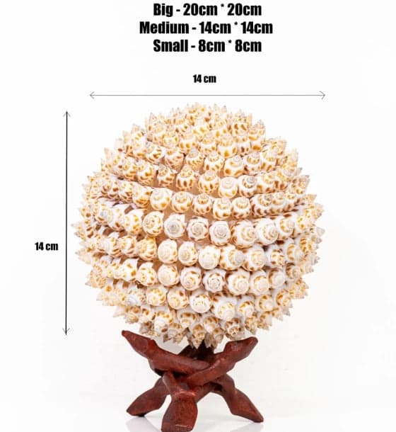 Shell Ball Puramuttai - Image 3