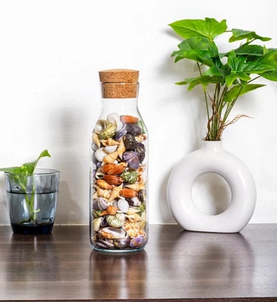 Bottle Mix Shell