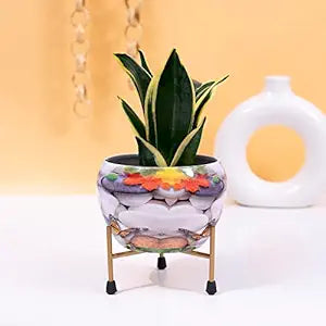 Blossom Delight Pot