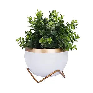 Blooming Beauty Planter