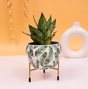 Blossom Delight Pot