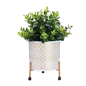 Blooming Beauty Planter