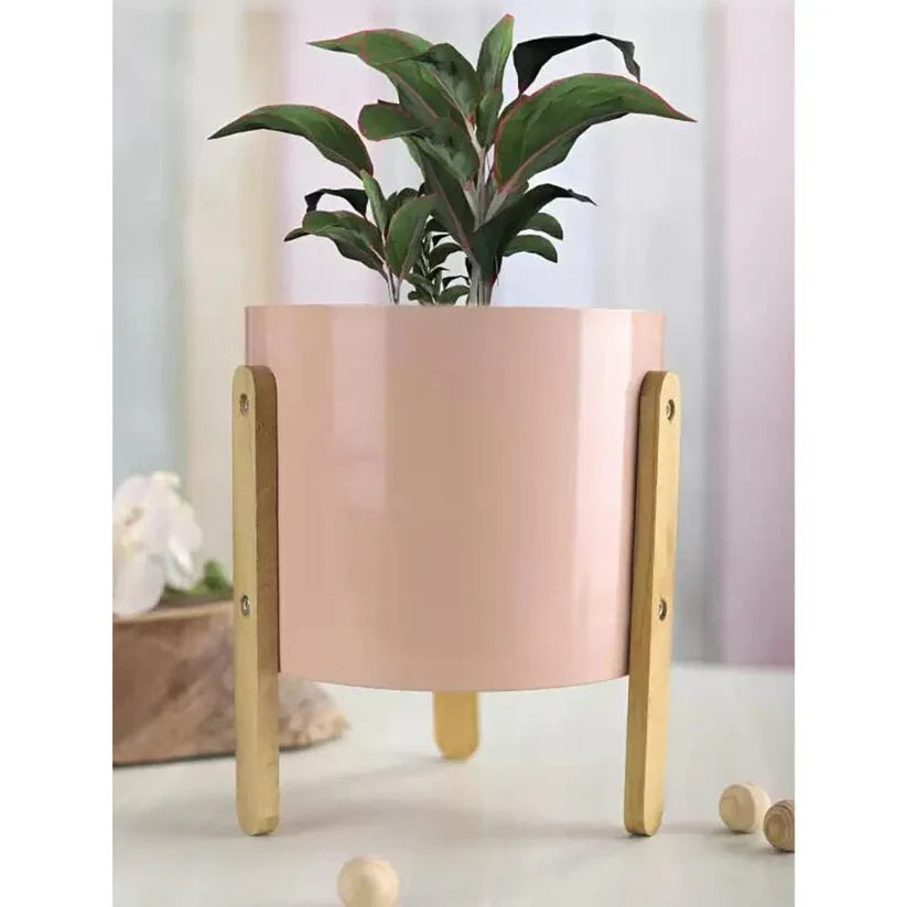 Pastel Timber Pot