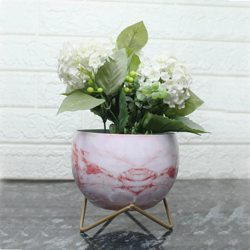 Blooming Beauty Planter