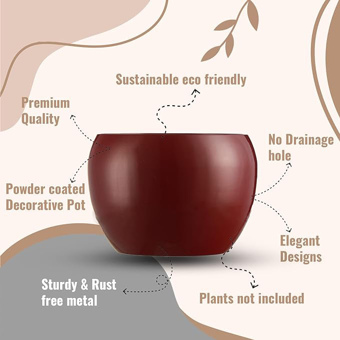 Curved Charm Planter