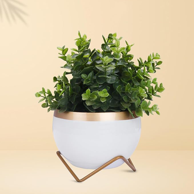 Blooming Beauty Planter