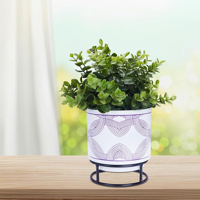 Blooming Beauty Planter