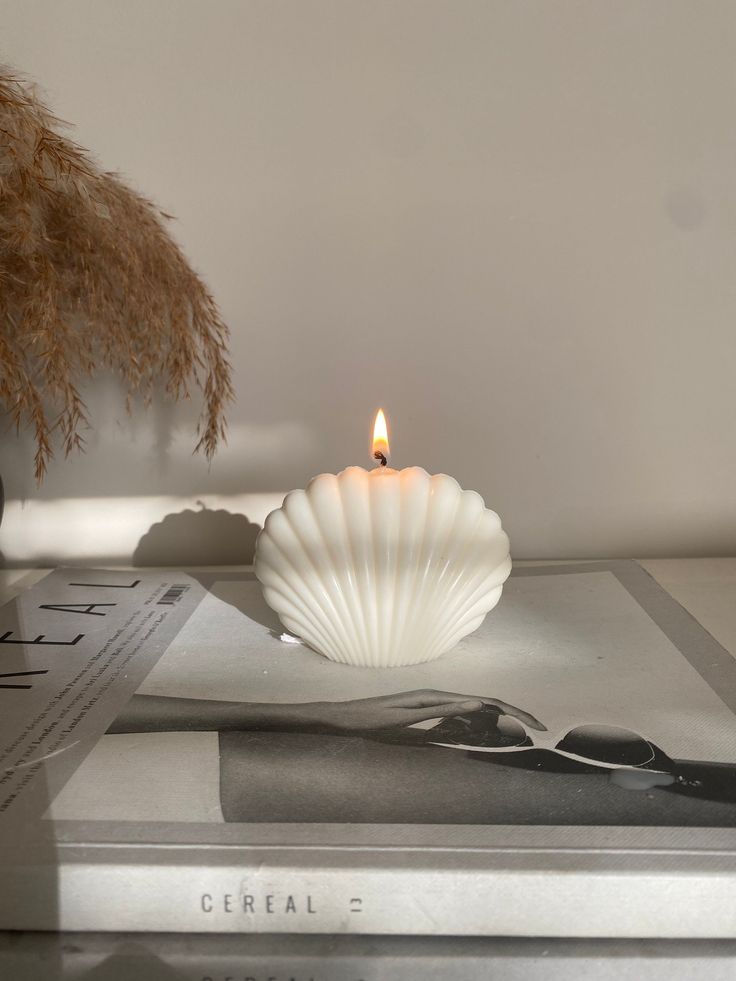 The Shell Candle